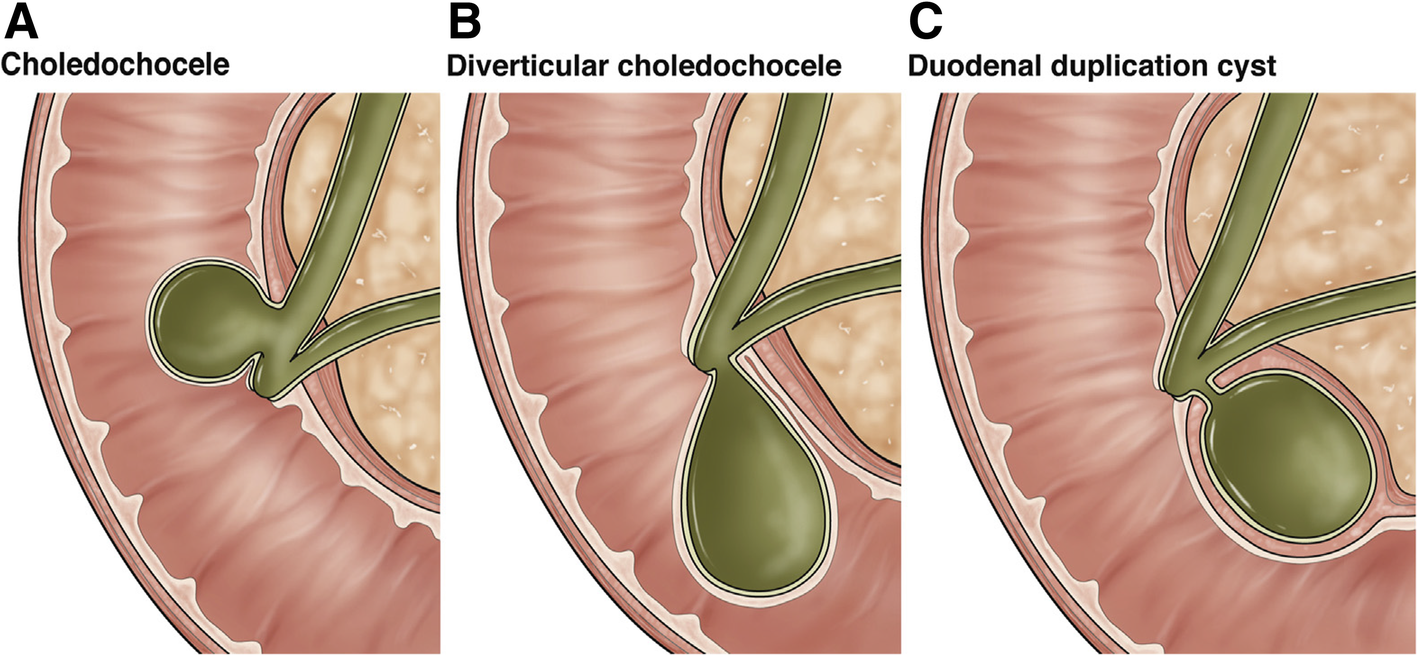 Fig. 9