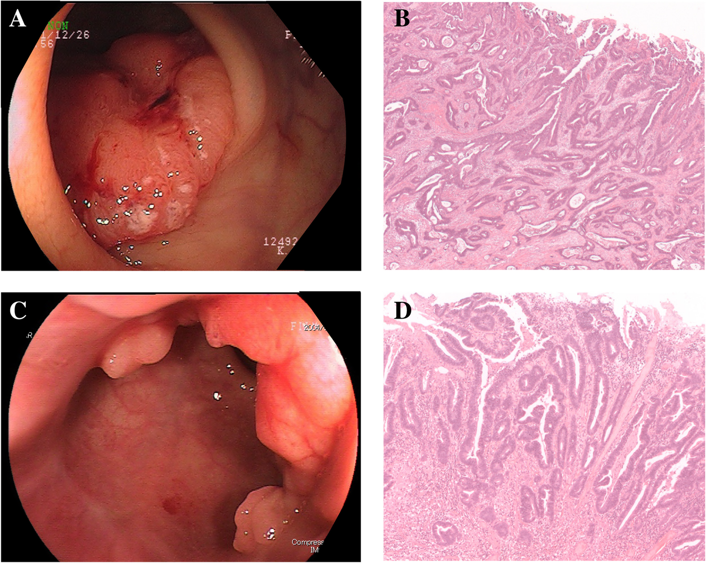 Fig. 2