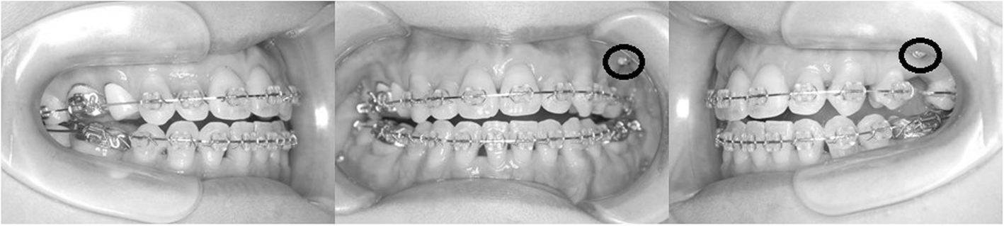 Fig. 7