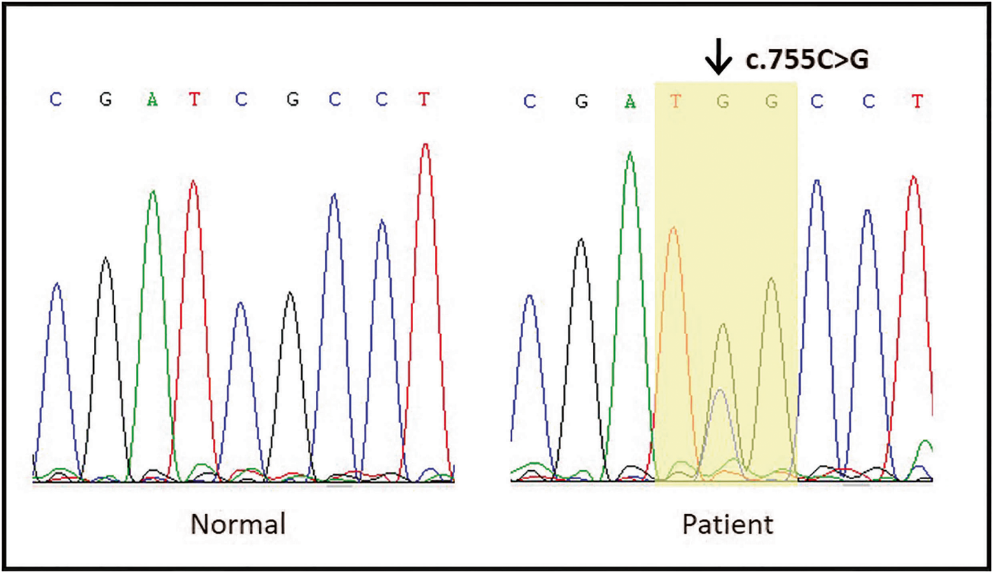 Fig. 4