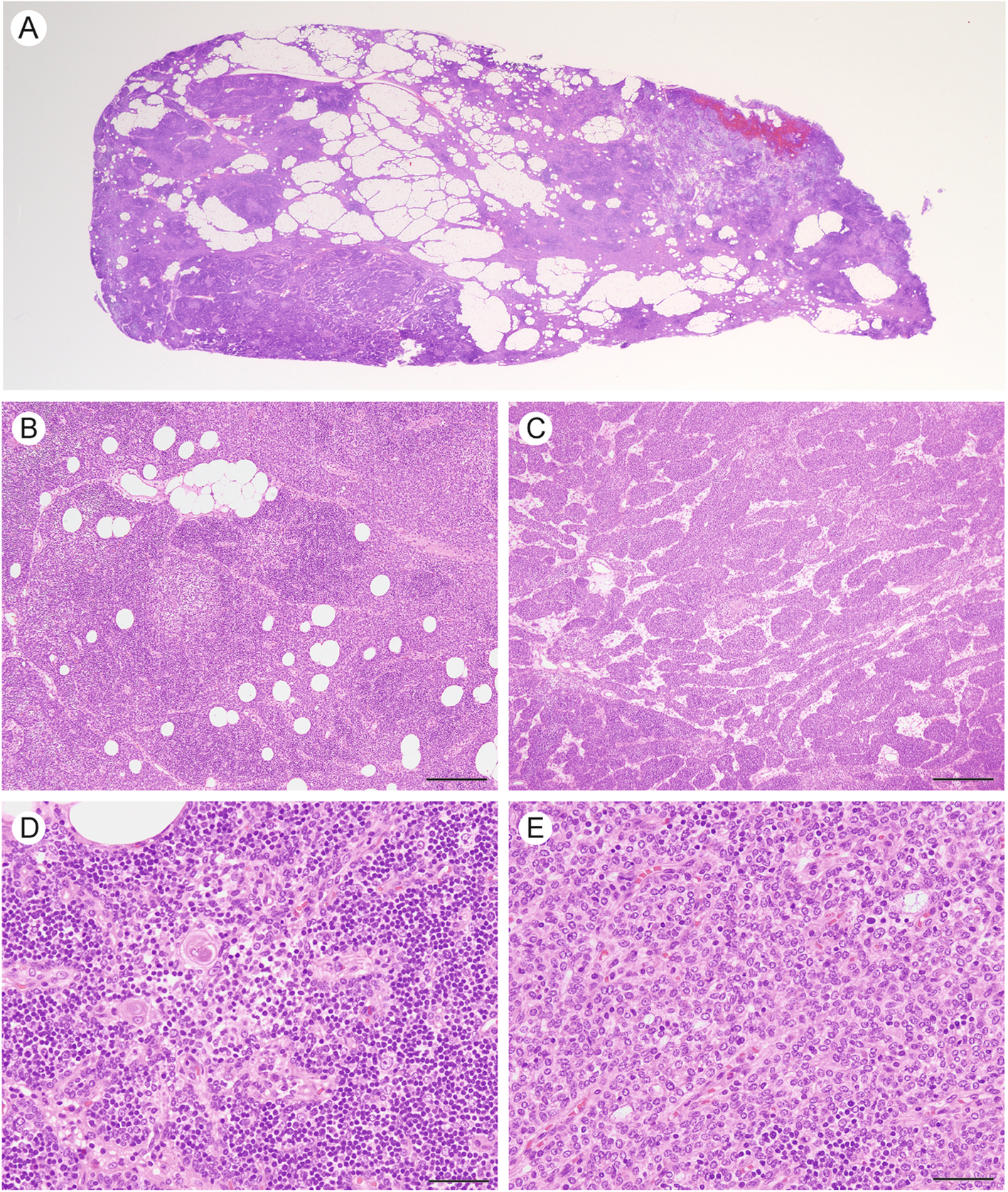 Fig. 3