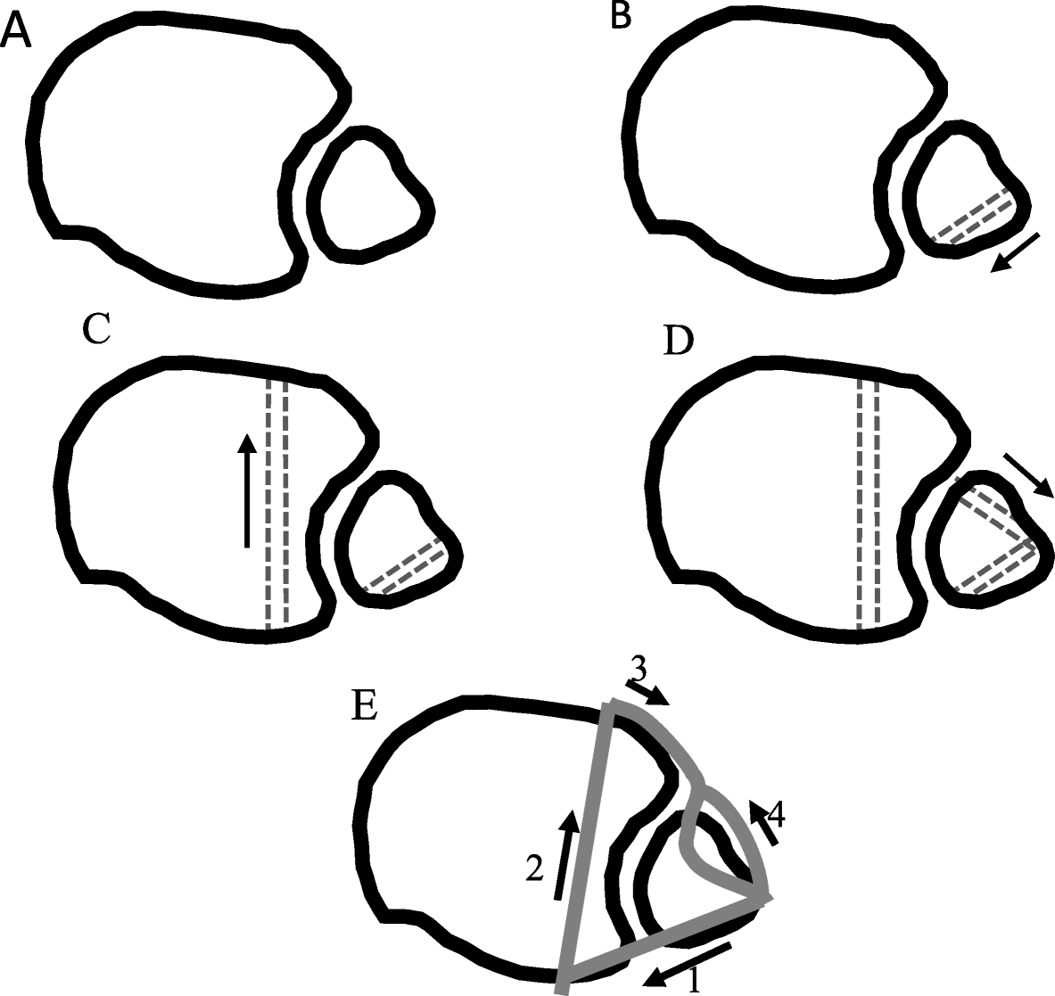 Fig. 4