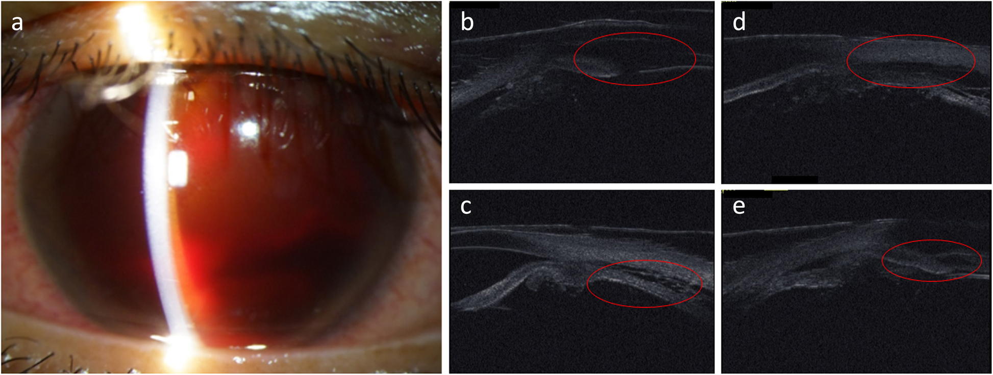 Fig. 4