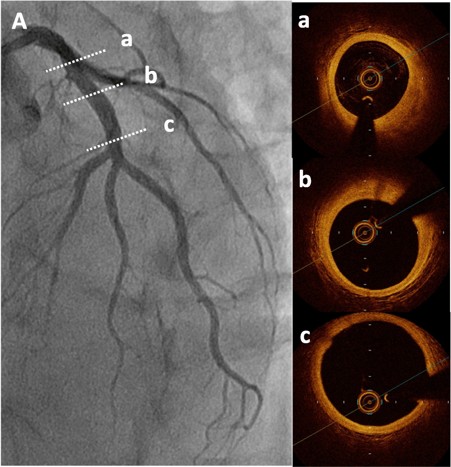 Fig. 5