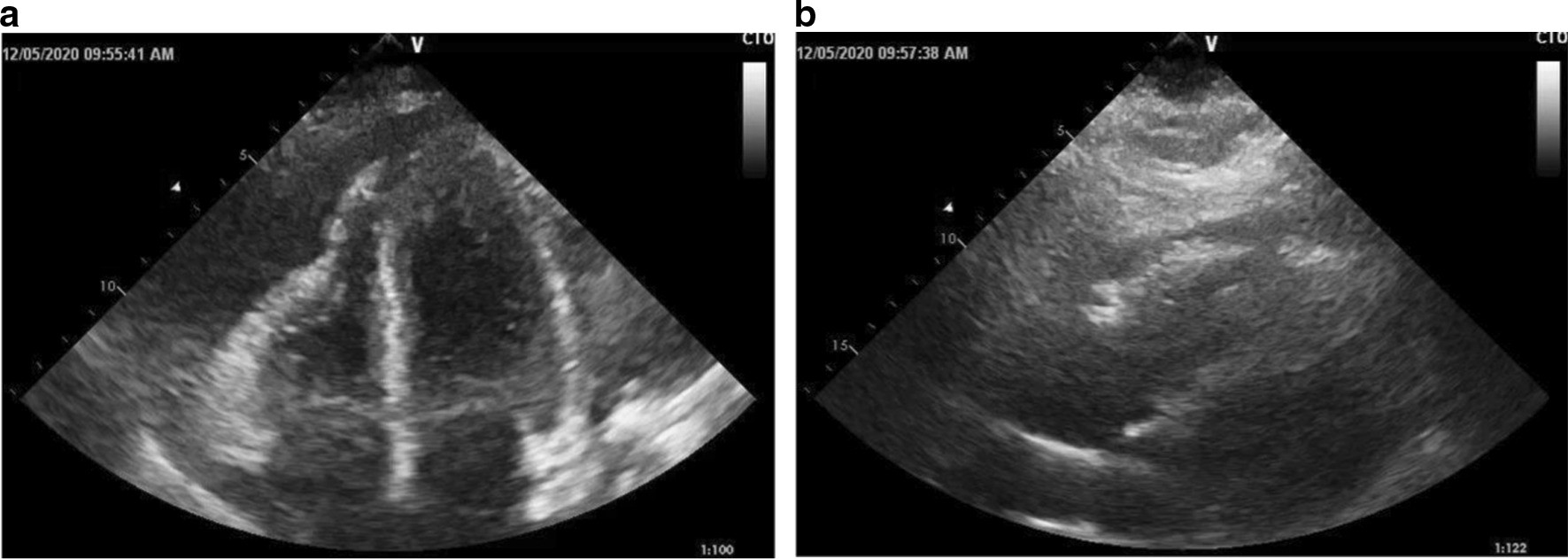 Fig. 5.