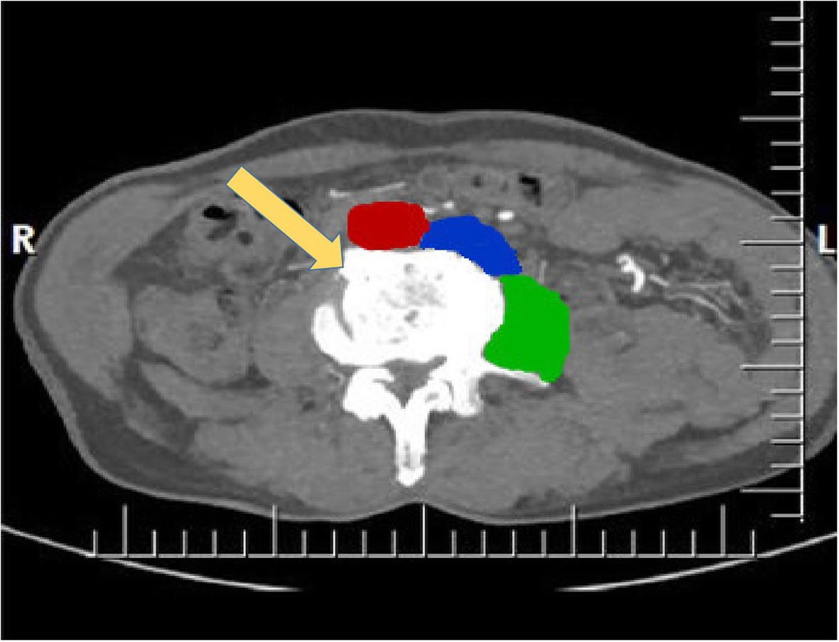 Fig. 5