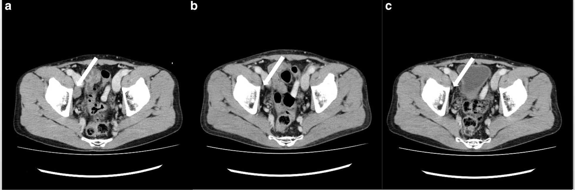 Fig. 5