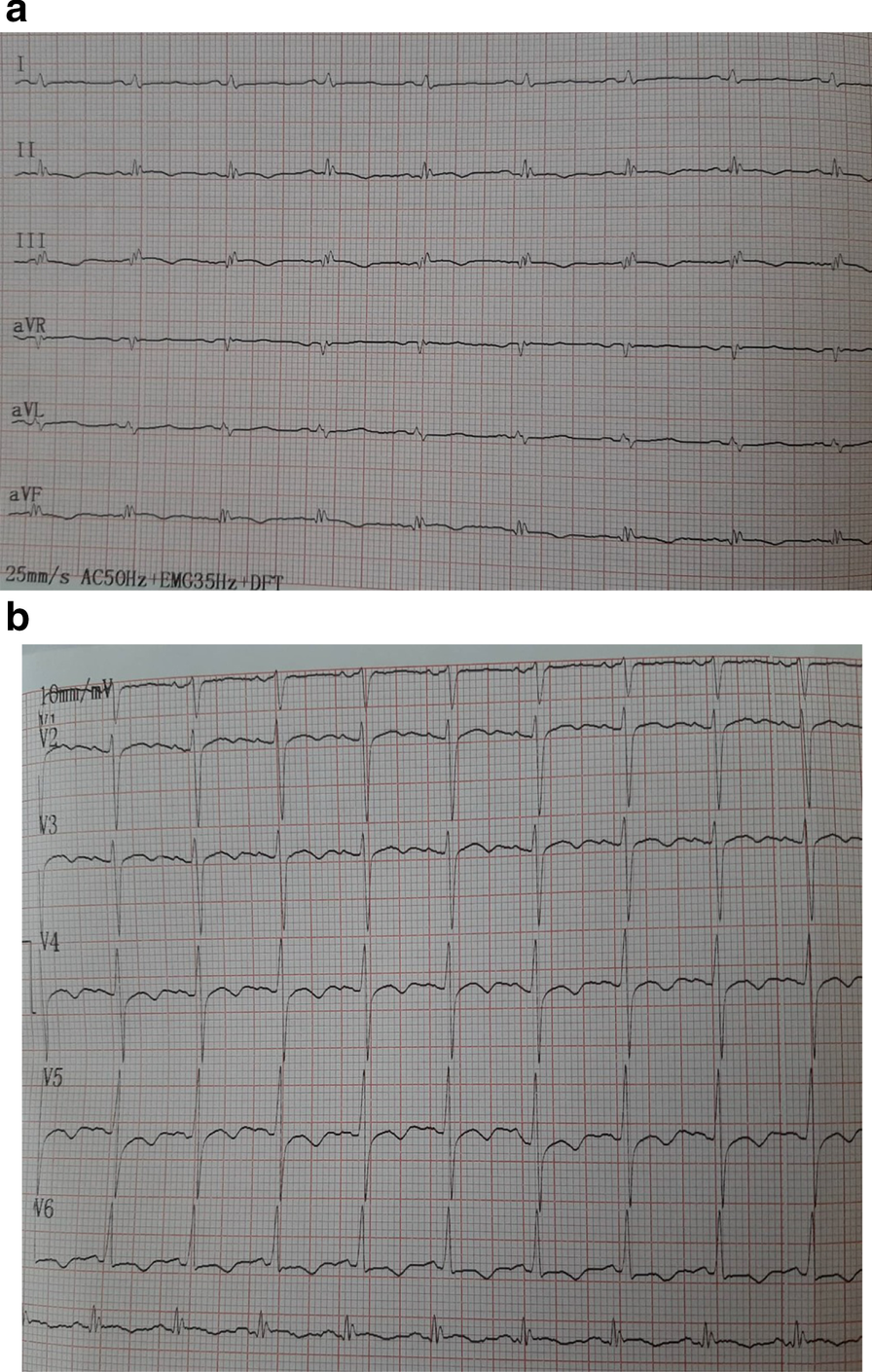 Fig. 7