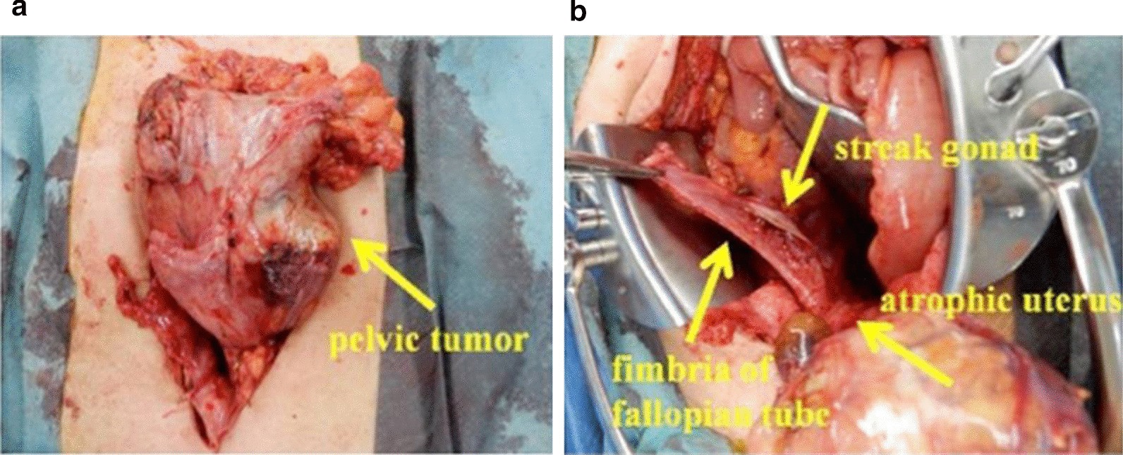 Fig. 6