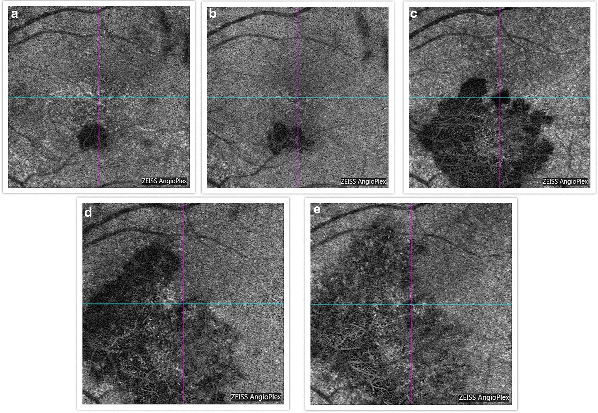 Fig. 8