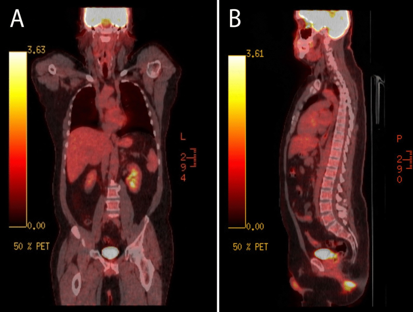 Fig. 8