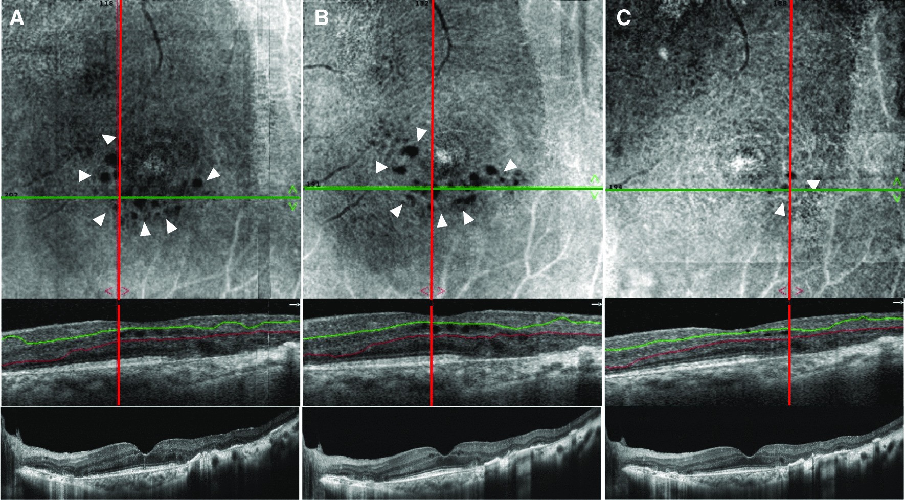 Fig. 3.