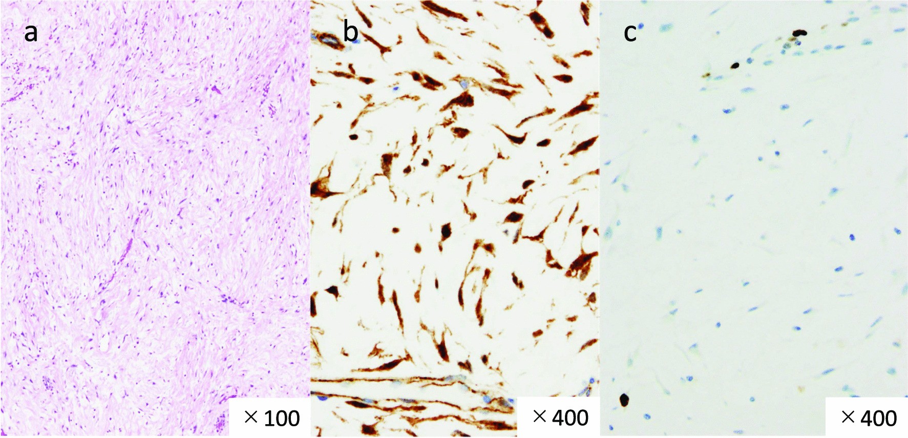 Fig. 6