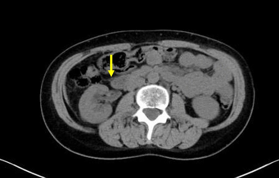 Fig. 7