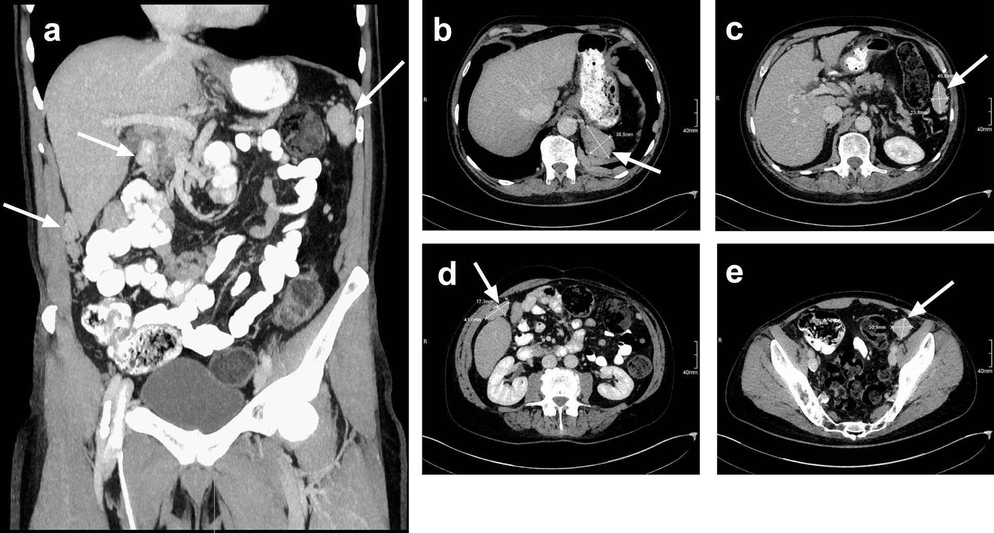 Fig. 3