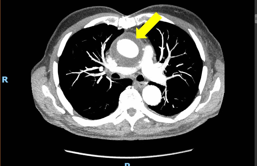 Fig. 1.