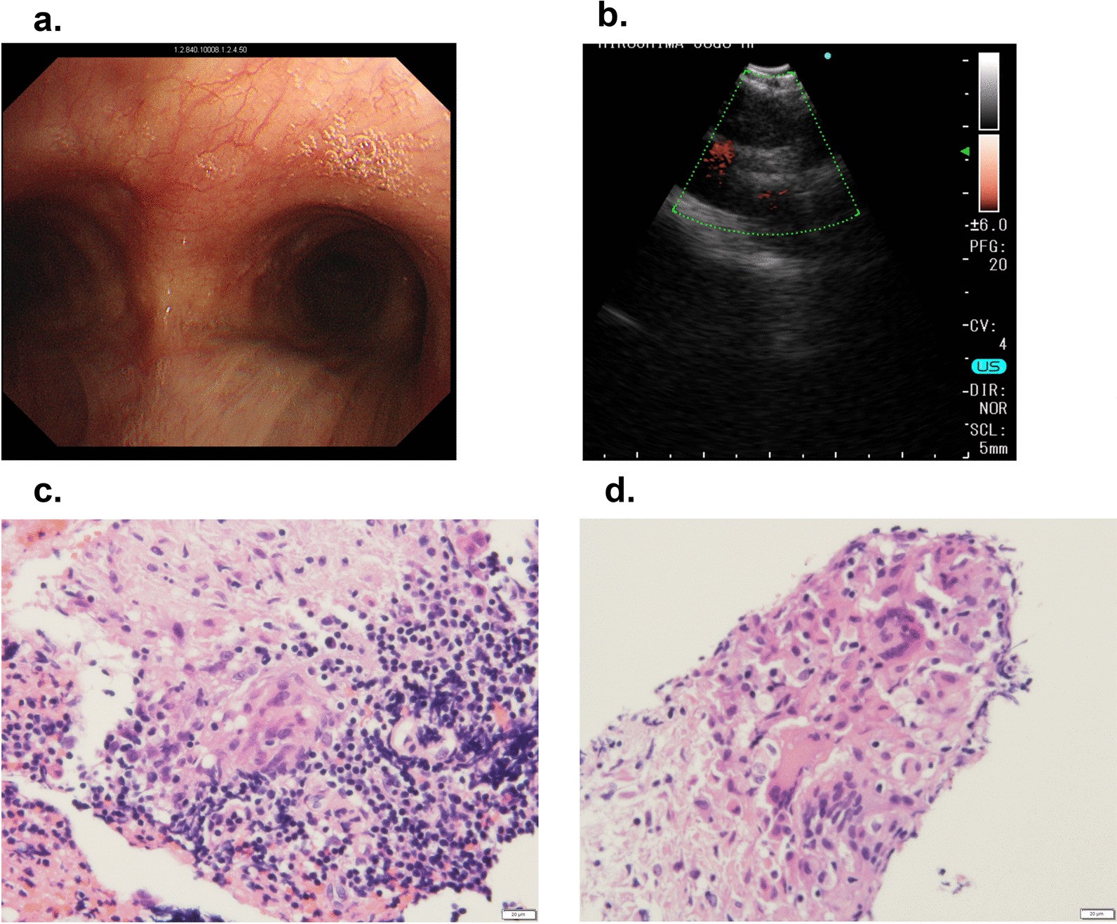 Fig. 3