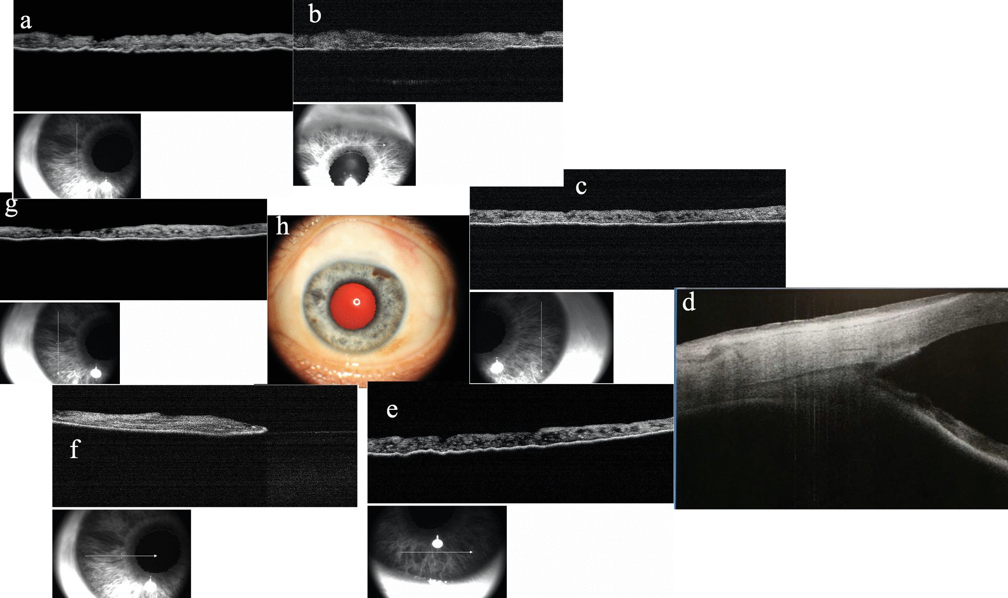 Fig. 6