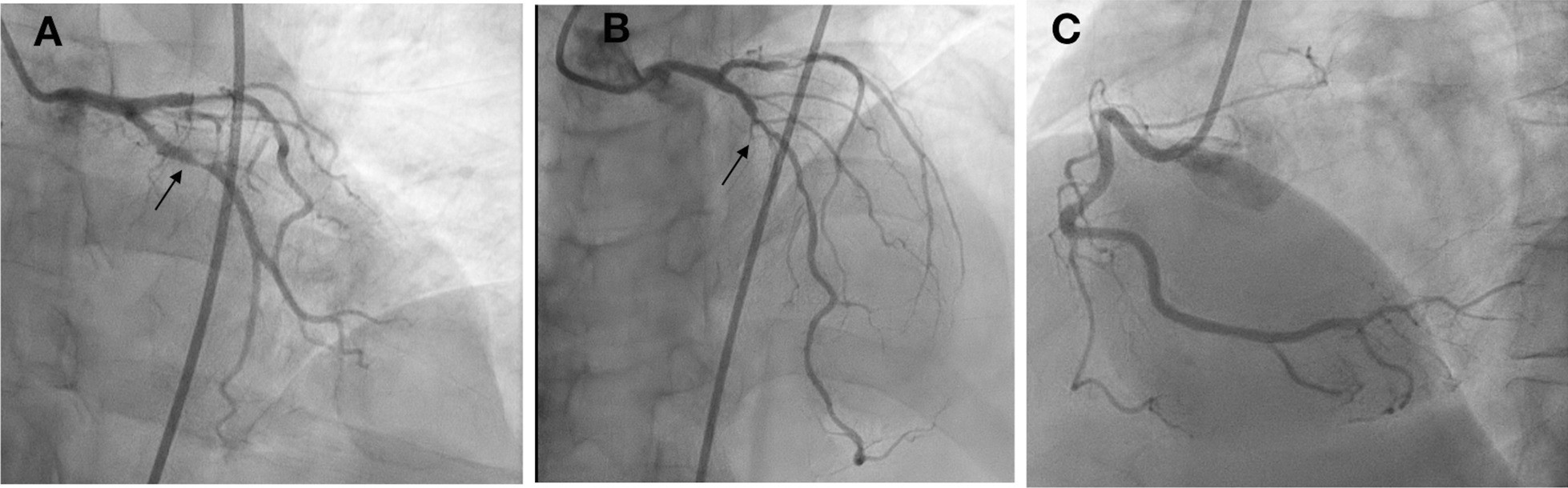 Fig. 8