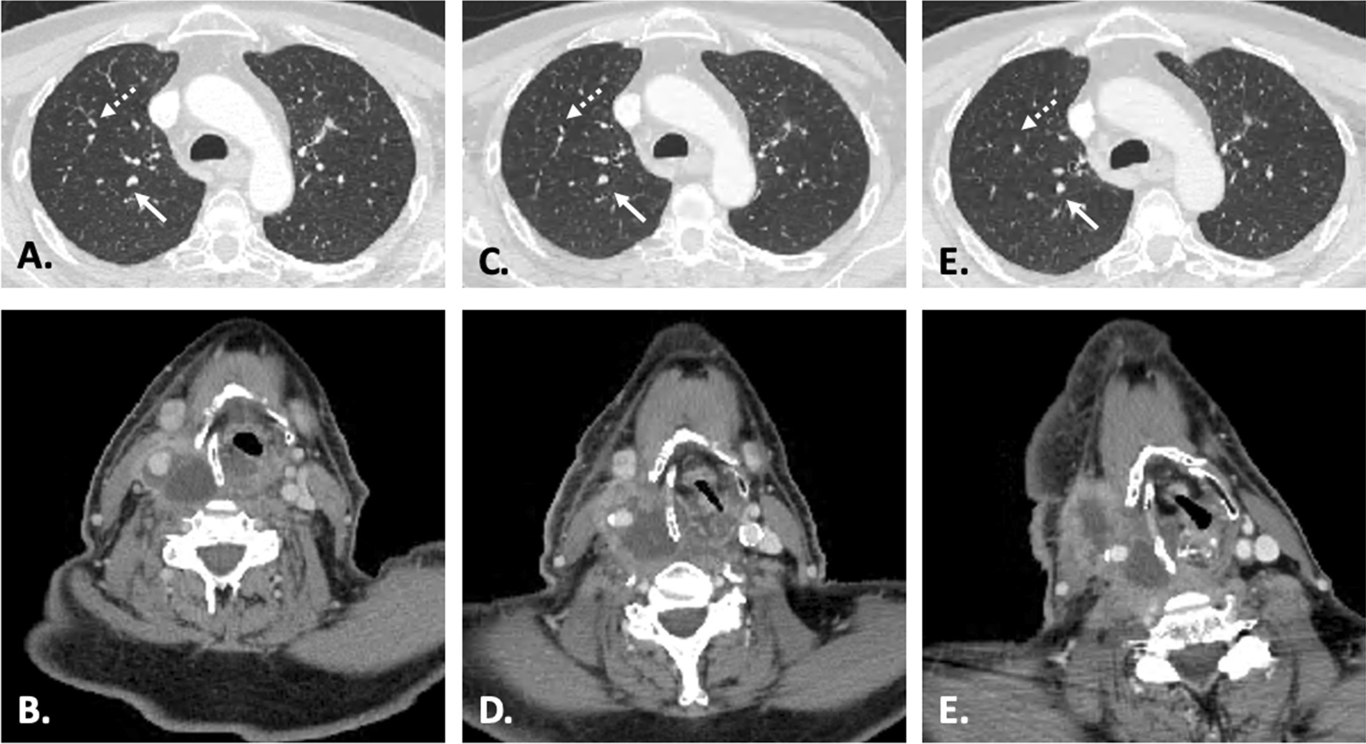 Fig. 5