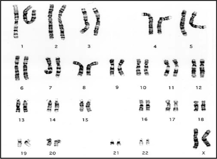 Fig. 5