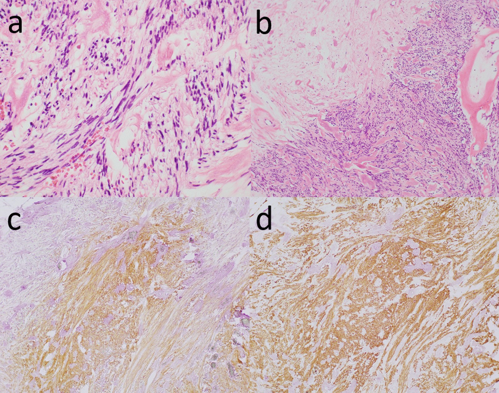 Fig. 5