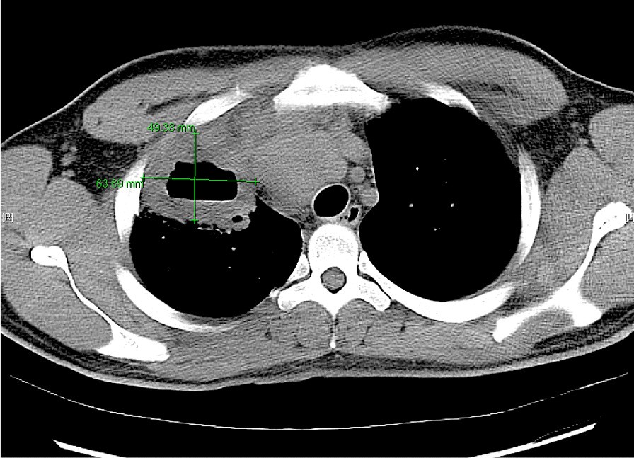 Fig. 5