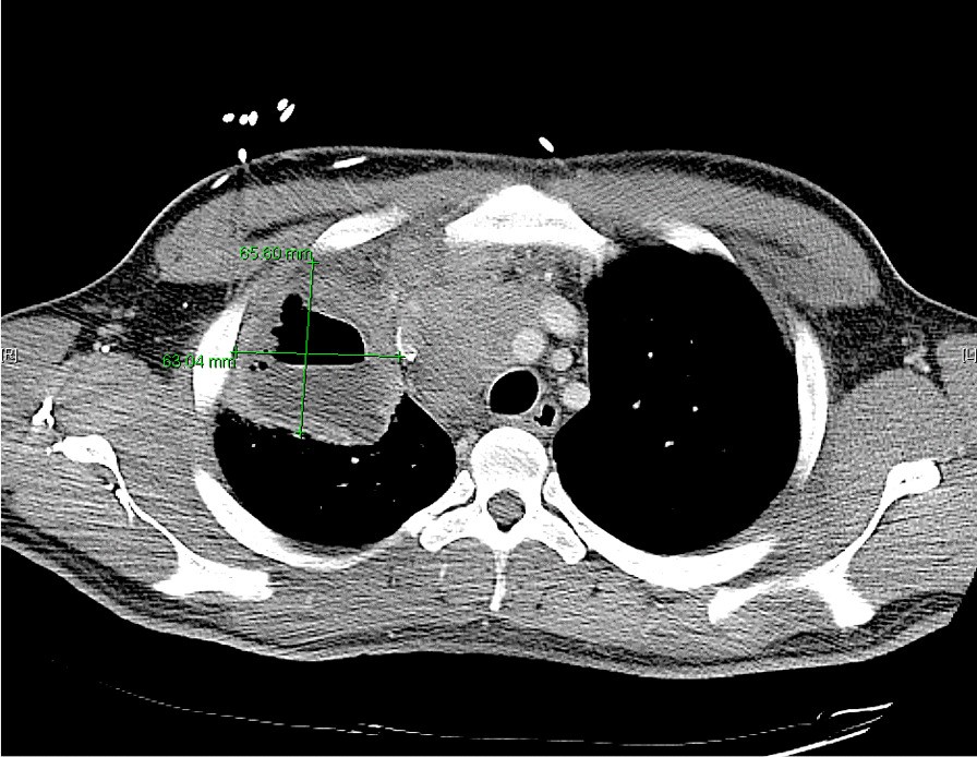 Fig. 8