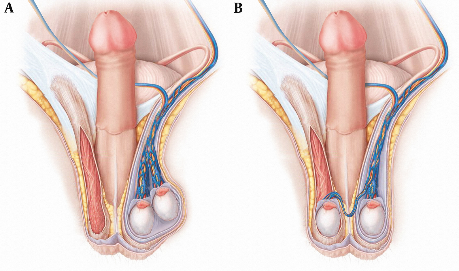 Fig. 4