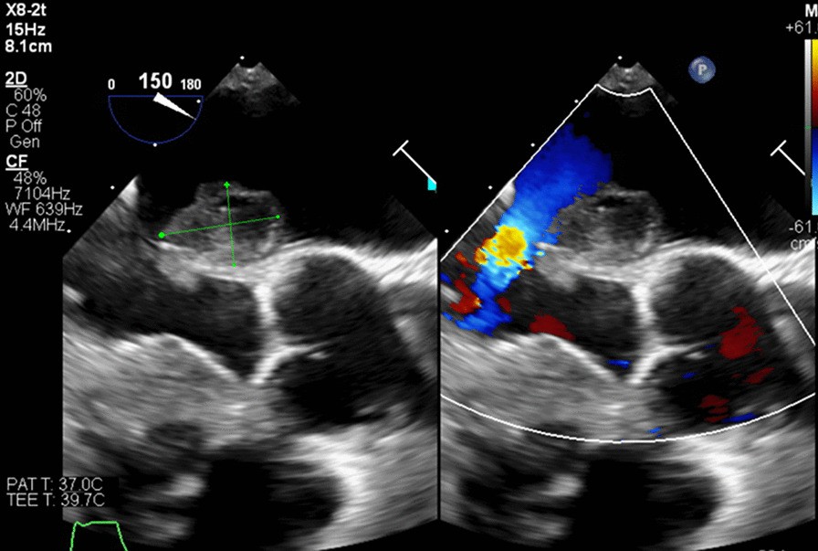 Fig. 7