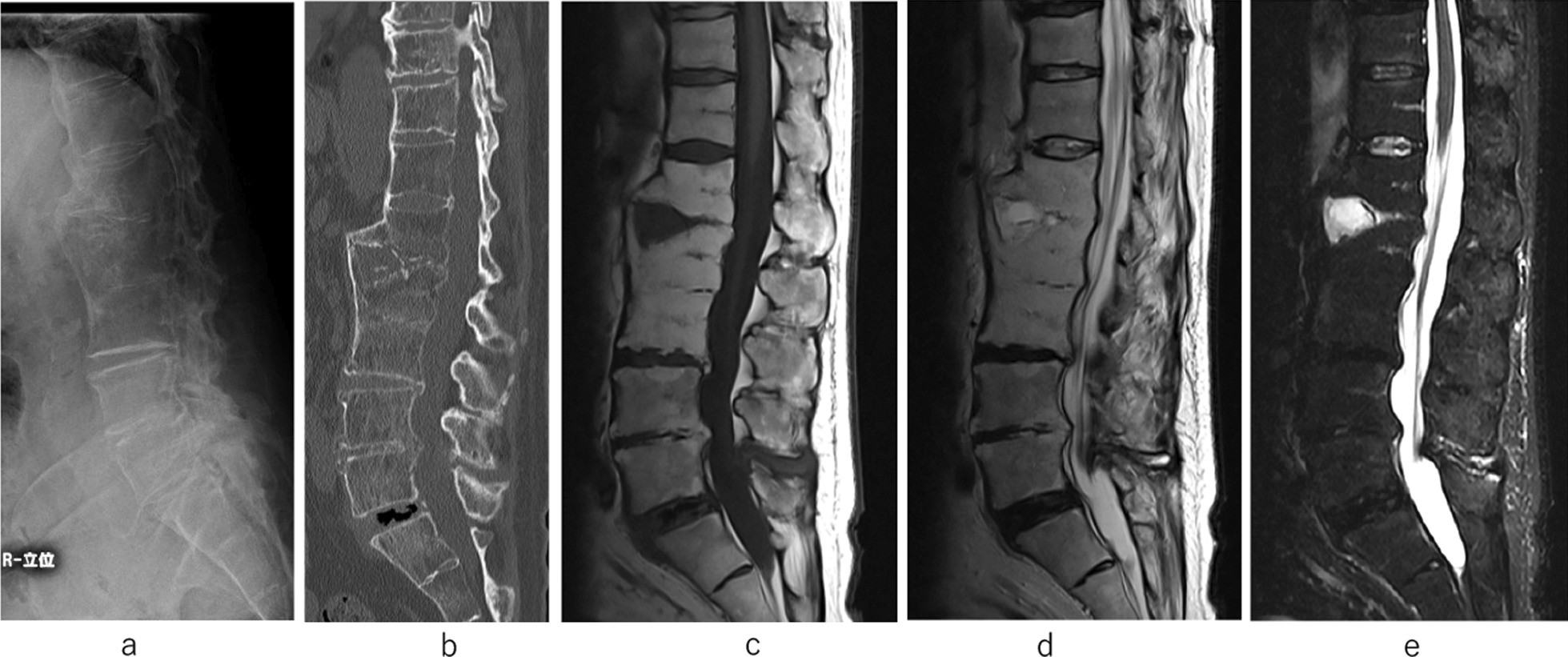 Fig. 7