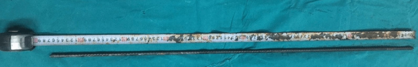Fig. 4
