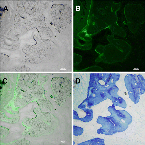 Figure 10