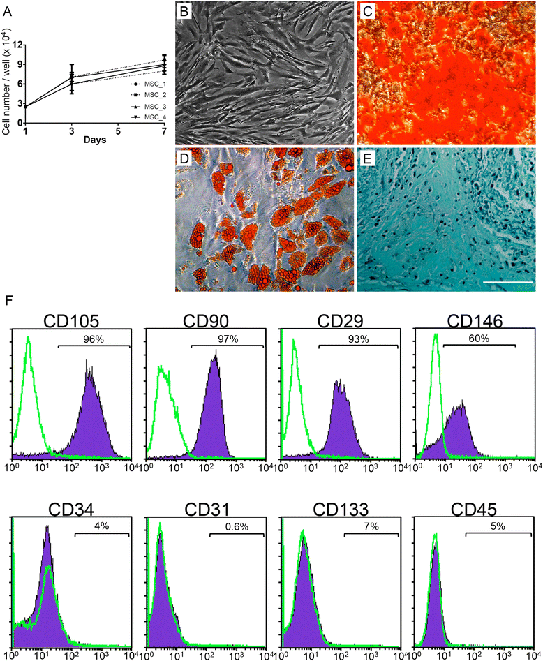 Fig. 5