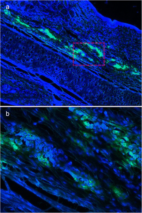 Fig. 8