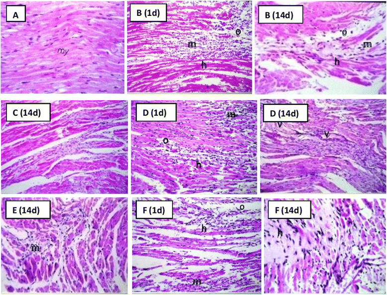 Fig. 10