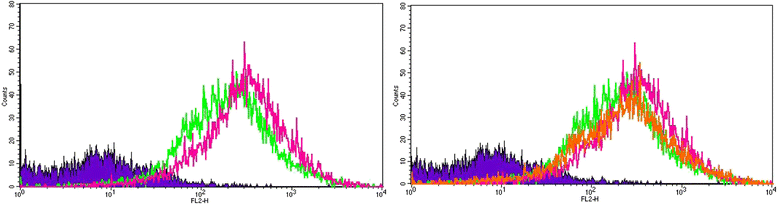 Fig. 10