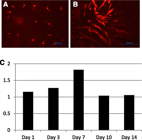 Fig. 8