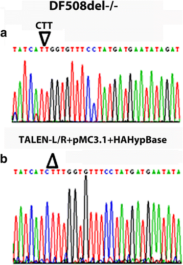 Fig. 3