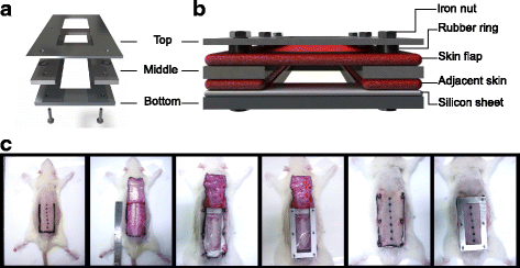 Fig. 1