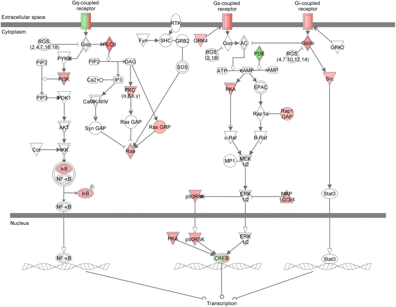 Fig. 9