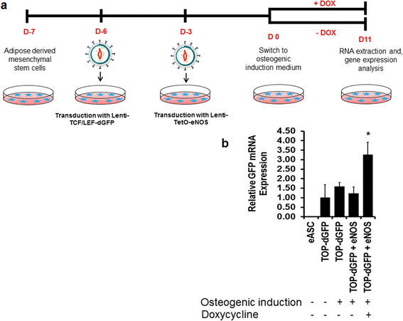 Fig. 10