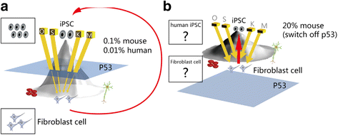 Fig. 2