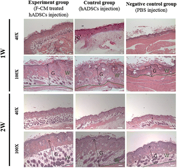 Fig. 10