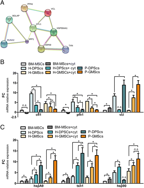 Fig. 7