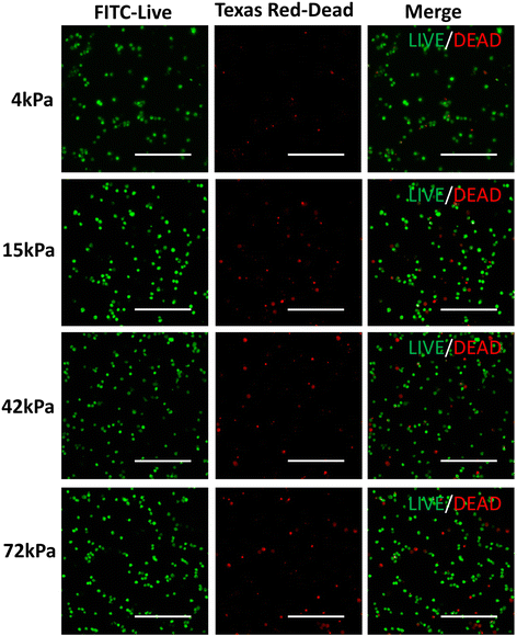 Fig. 11