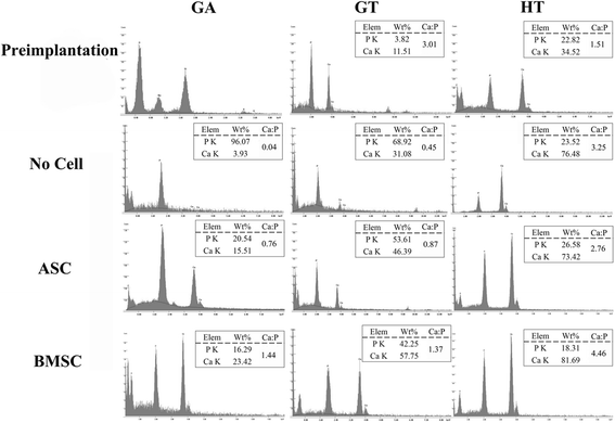 Fig. 9