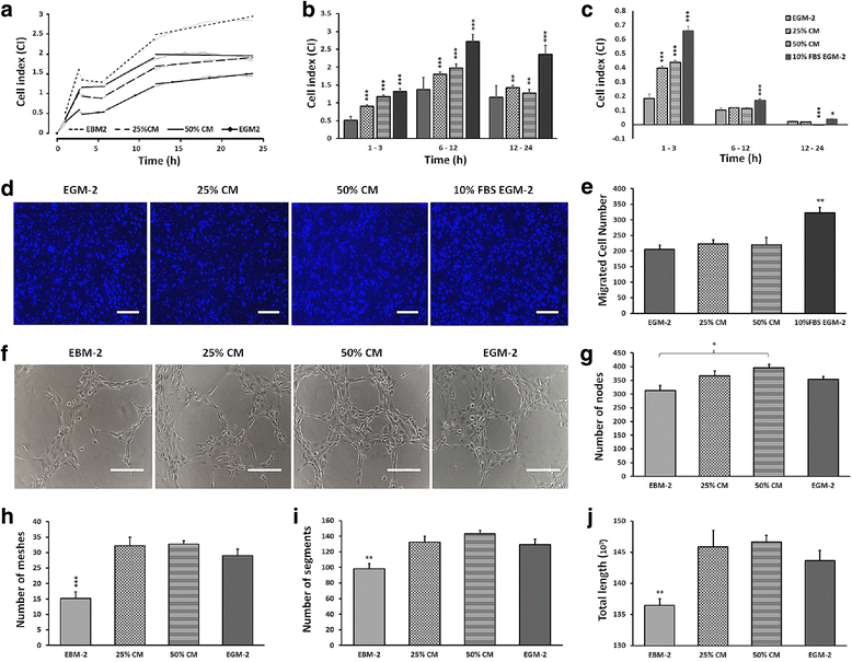 Human dental pulp stromal cell conditioned medium alters endothelial cell  behavior | Stem Cell Research & Therapy | Full Text