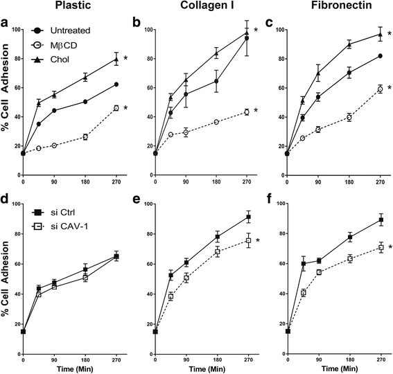 Influence Of Cholesterol Caveolin 1 Caveolae Homeostasis On Membrane Properties And Substrate Adhesion Characteristics Of Adult Human Mesenchymal Stem Cells Stem Cell Research Therapy Full Text