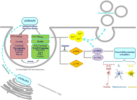 Fig. 12